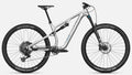 Canyon Neuron 7